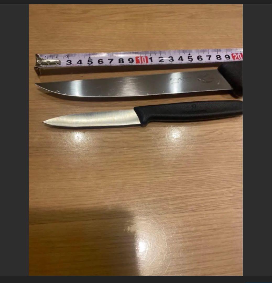 本場スイスで購入ラクレットセット＆victrinoxナイフ2本！等　全13点