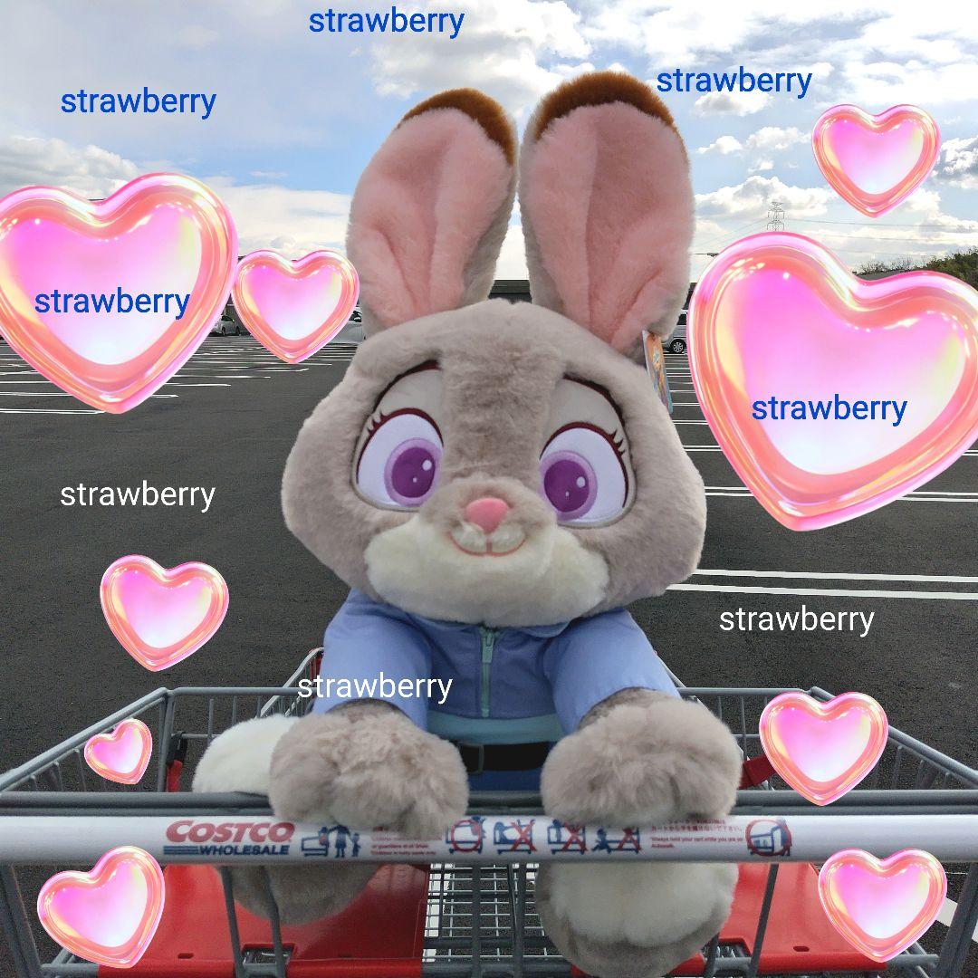 ズートピア゙2 ジュディ 大きな ぬいぐるみ ブランケット付き