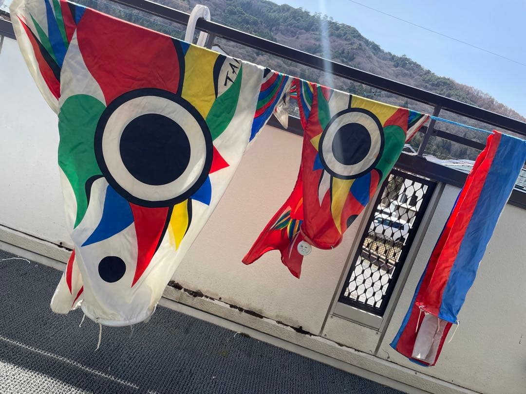 ◻️希少◻️岡本太郎　鯉のぼり