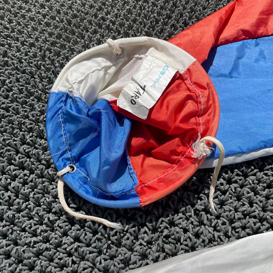 ◻️希少◻️岡本太郎　鯉のぼり