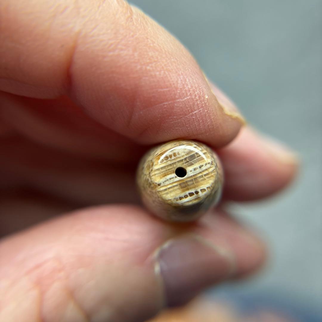 もんちゃんフォッシルコーラル　天珠　3-302