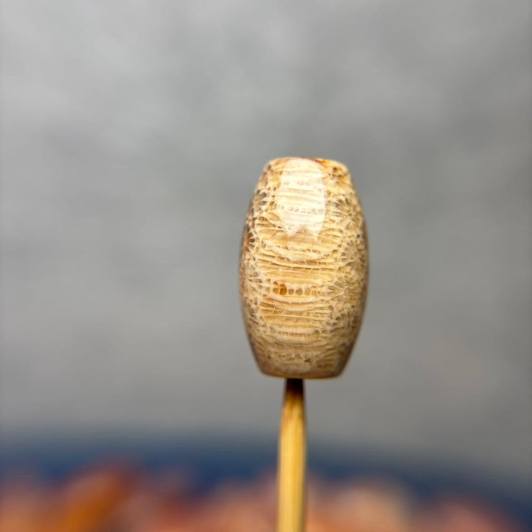 もんちゃんフォッシルコーラル　天珠　3-302