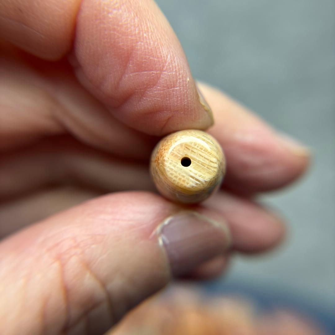 もんちゃんフォッシルコーラル　天珠　3-302