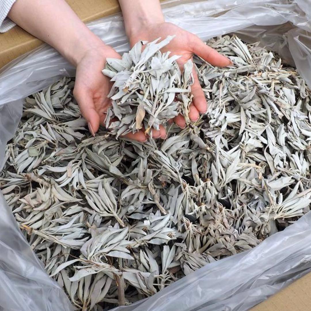激安お買い得☆800g＜浄化☆邪気祓い☆カリフォルニア産ホワイトセージ枝付き＞