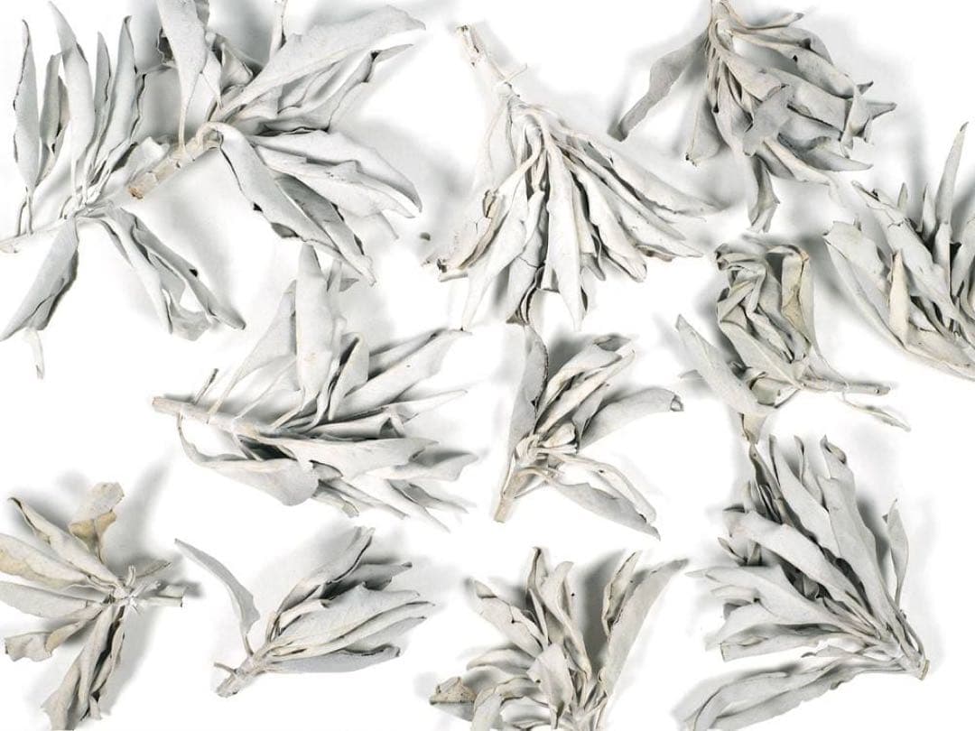 激安お買い得☆800g＜浄化☆邪気祓い☆カリフォルニア産ホワイトセージ枝付き＞