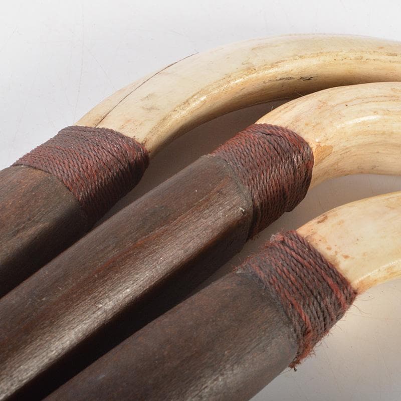 古民芸　イノシシ　猪牙　ちょき　根付　三点　検石見根付　V　6606