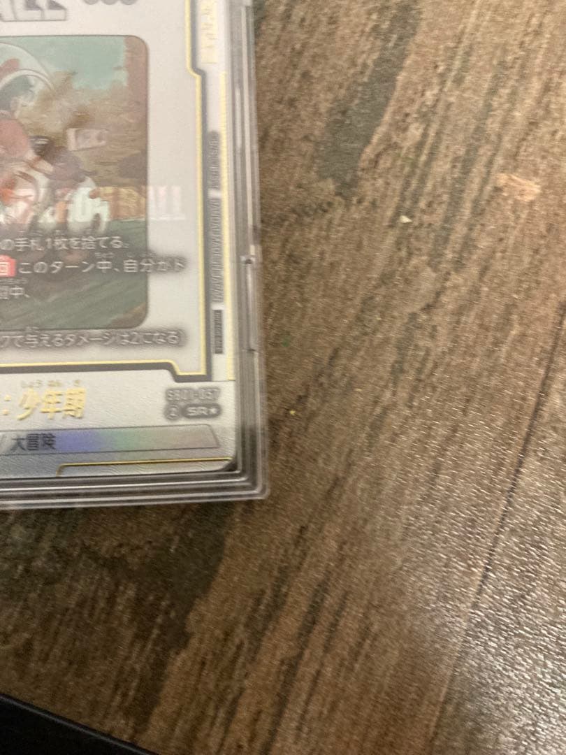 アルティメットバトル 優勝 ブルマ 孫悟空：少年期 DB.FW