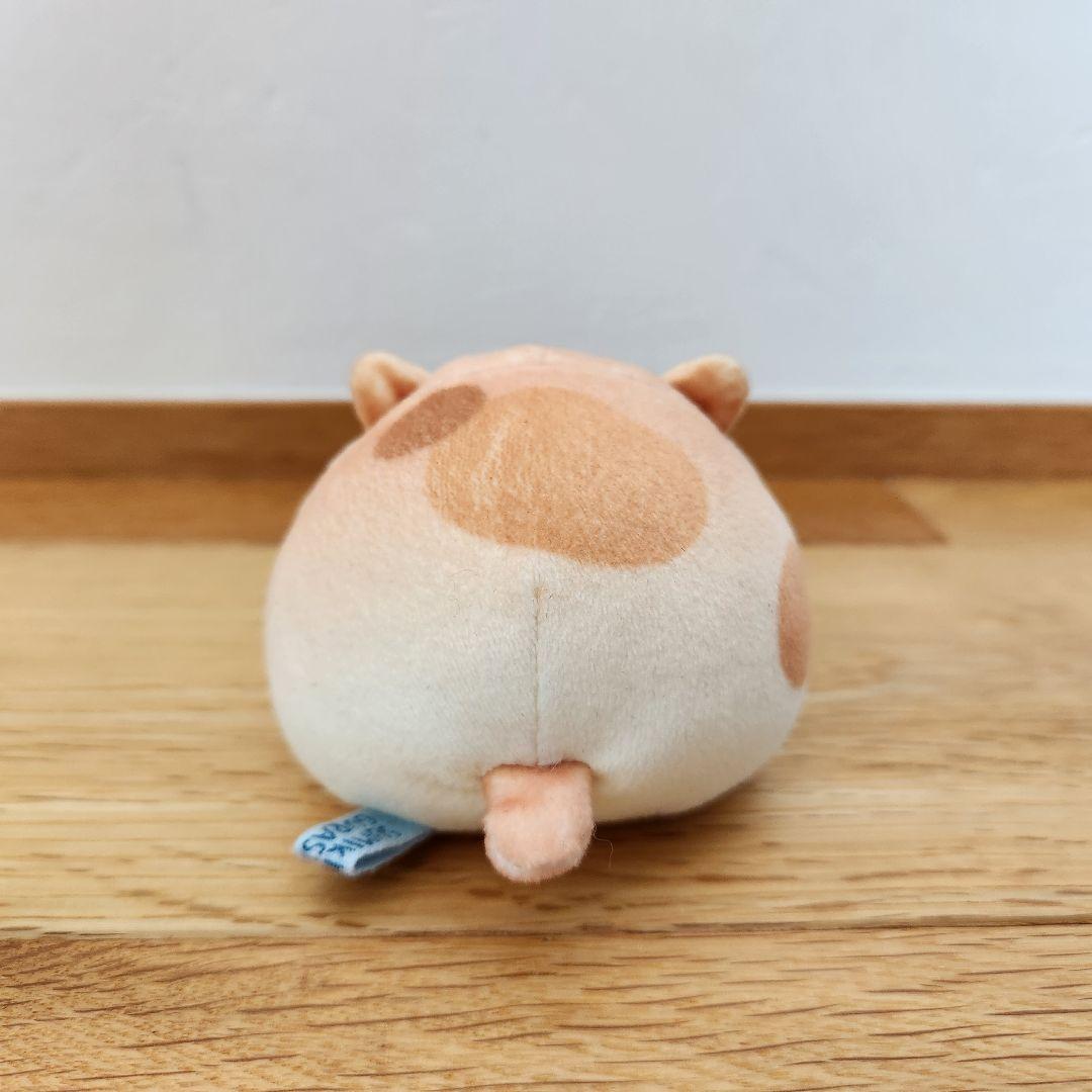 すみっコぐらし ねこパン てのりぬいぐるみ もーちもちパン屋さん