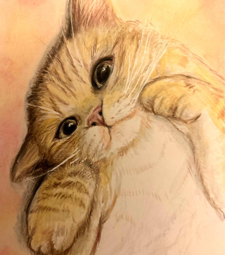 猫 絵画 子猫 イラスト 水彩色鉛筆 油彩色鉛筆 原画 ごろにゃん 茶トラ