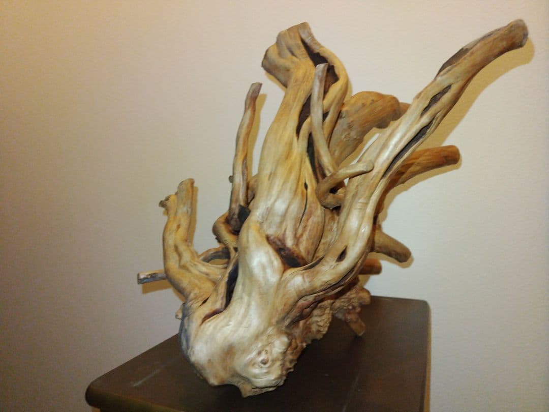 木の根のオブジェ