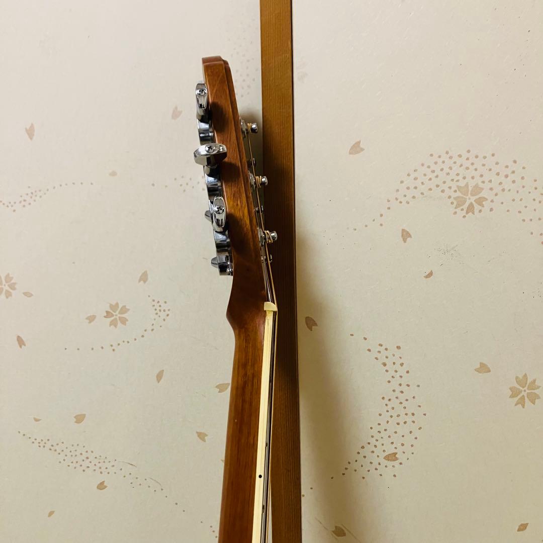 1月限定出品 【GOTOHペグ交換】エレアコAPPLAUSE AE 36