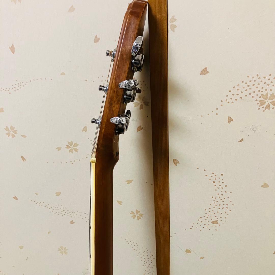 1月限定出品 【GOTOHペグ交換】エレアコAPPLAUSE AE 36