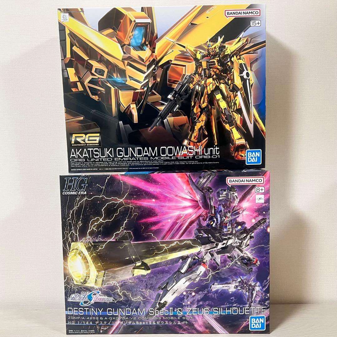 HG デスティニーガンダムSpecII&ゼウスシルエット RG アカツキガンダム