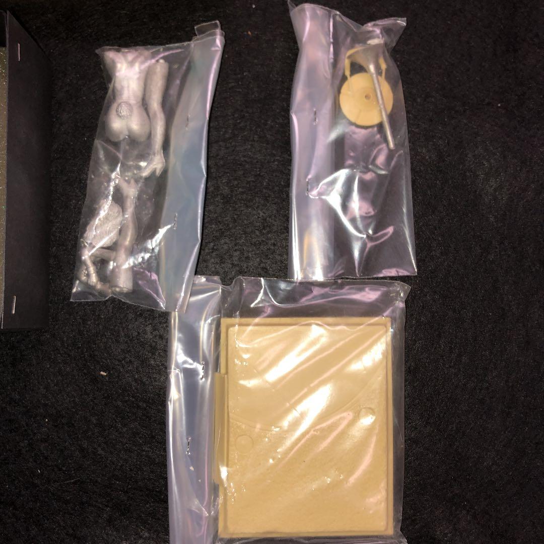 イタリアJJMODELSセクシードリームシリーズ　バニーガール　Luna