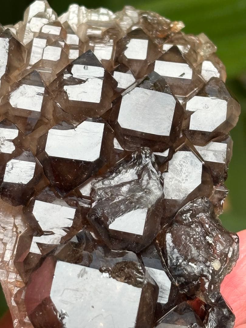 ブラジル産 ジャカレー水晶 ワニ水晶 エレスチャル 303g かっこいい