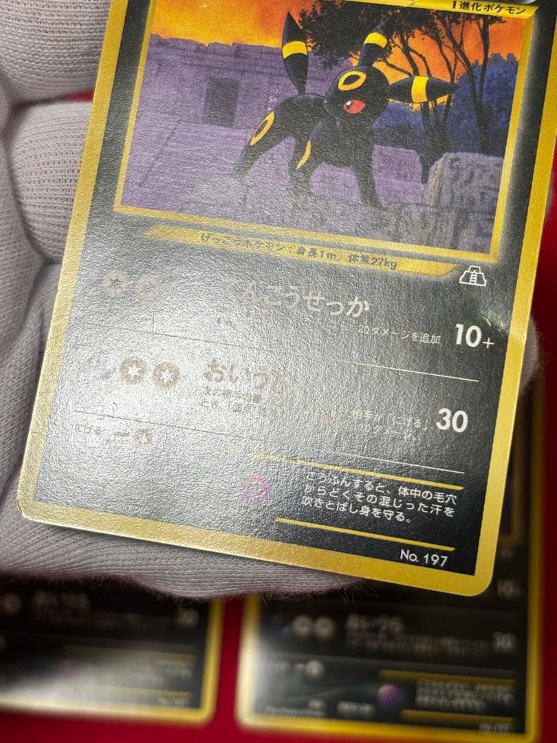 ポケモンカード ブラッキー プレミアムファイル2 旧裏　No.197 3枚セット