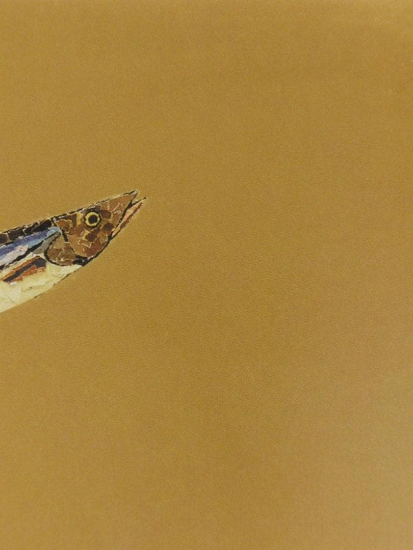 山下清、【秋刀魚】、希少な額装用画集より、美品、日本人画家、新品