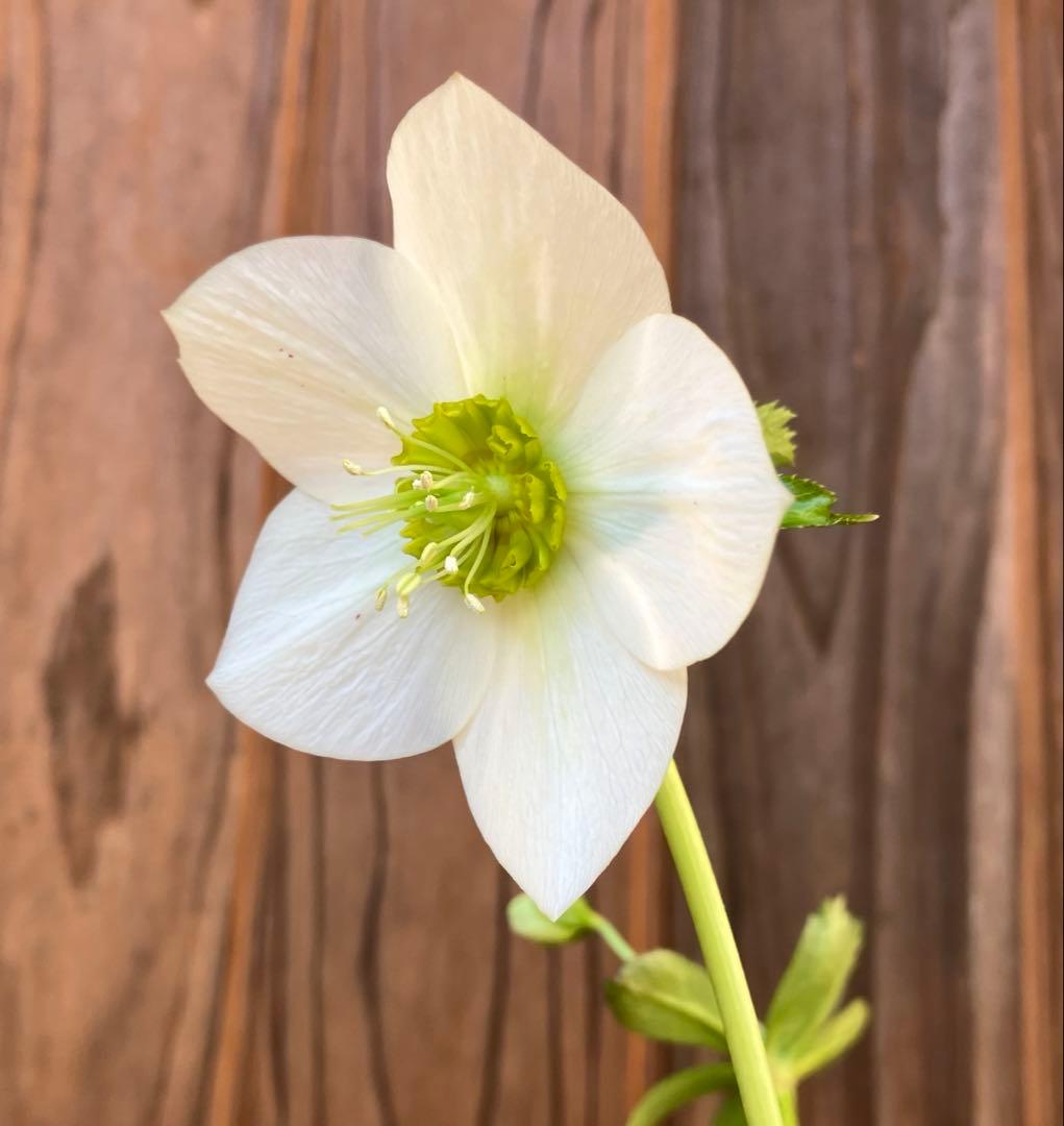 marge様ご検討用