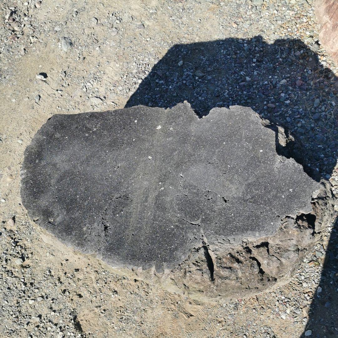 浅間　溶岩石　台石　155キロ　庭石　石　鑑賞石　庭　坪庭　ガーデニング