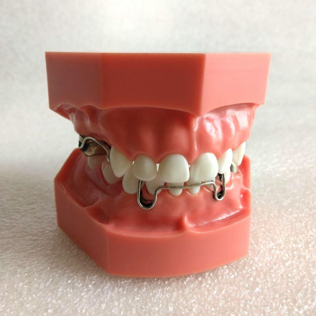 D*1様 【NISSIN】歯科模型✴乳歯列模型✴歯科技工用品 - メルカリ