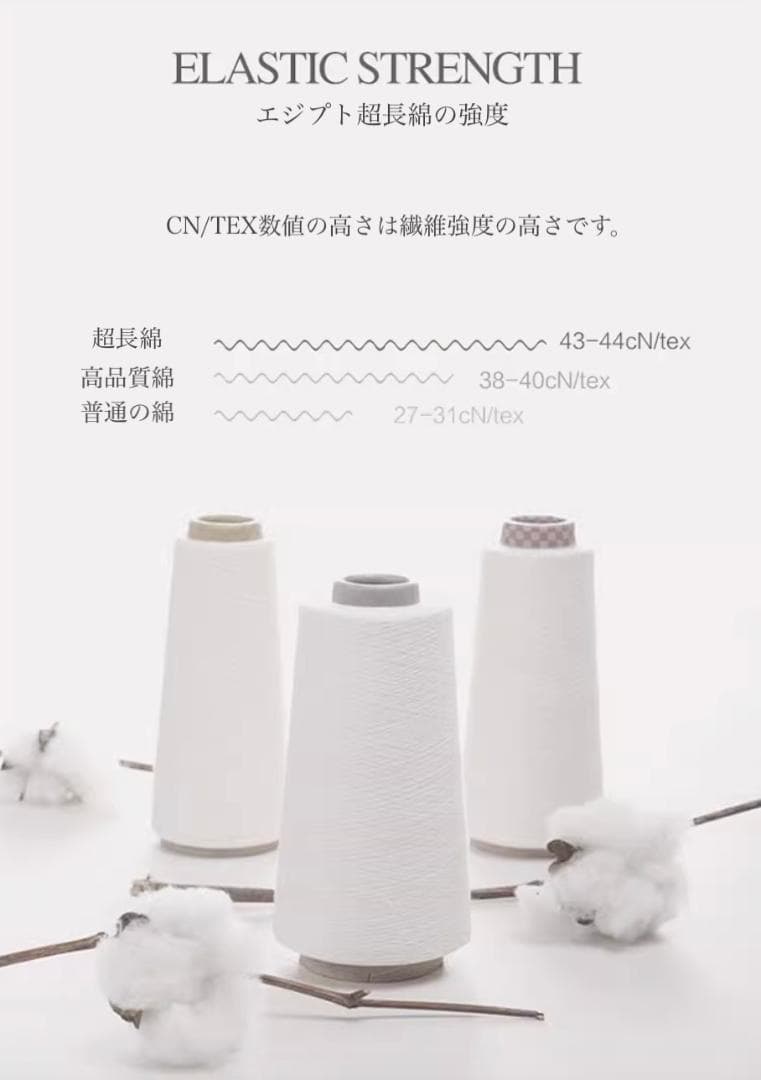 【オーダーメイド可】エジプト超長綿100% 850TC 花柄 蝶々 4点セット