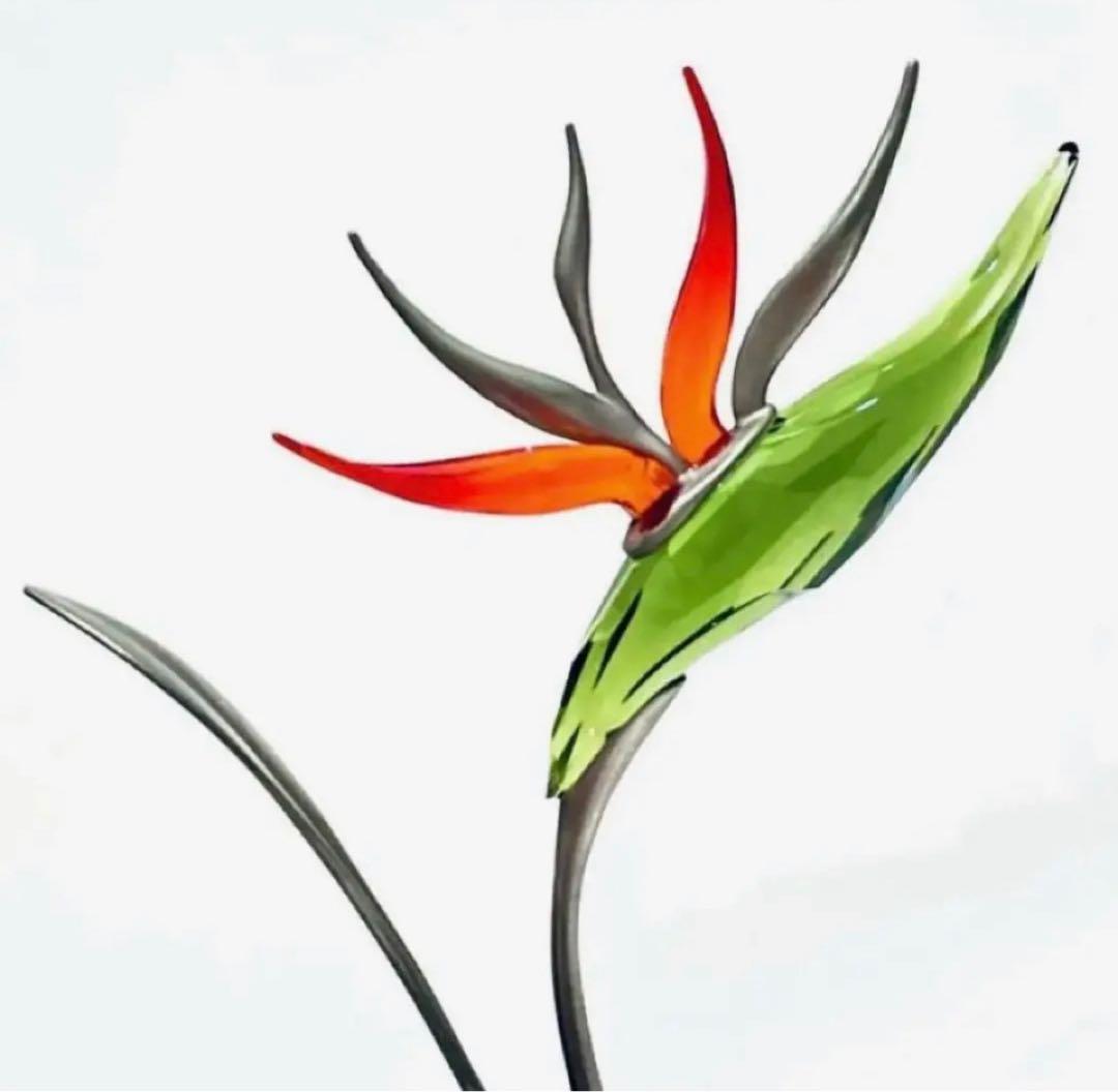 792【激レア・廃盤・貴重・希少】縁起物♪極楽鳥花 ストレリチア