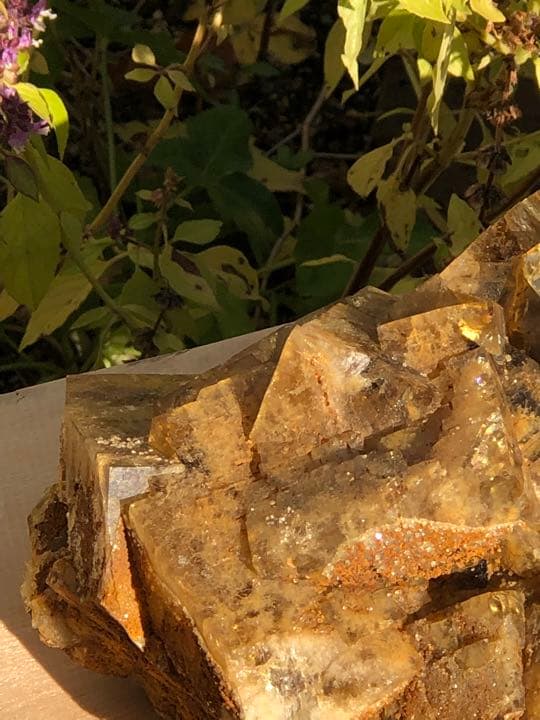 最高品質のフローライトゴールドの輝きがとてもゴージャスです‼️大特価SALE