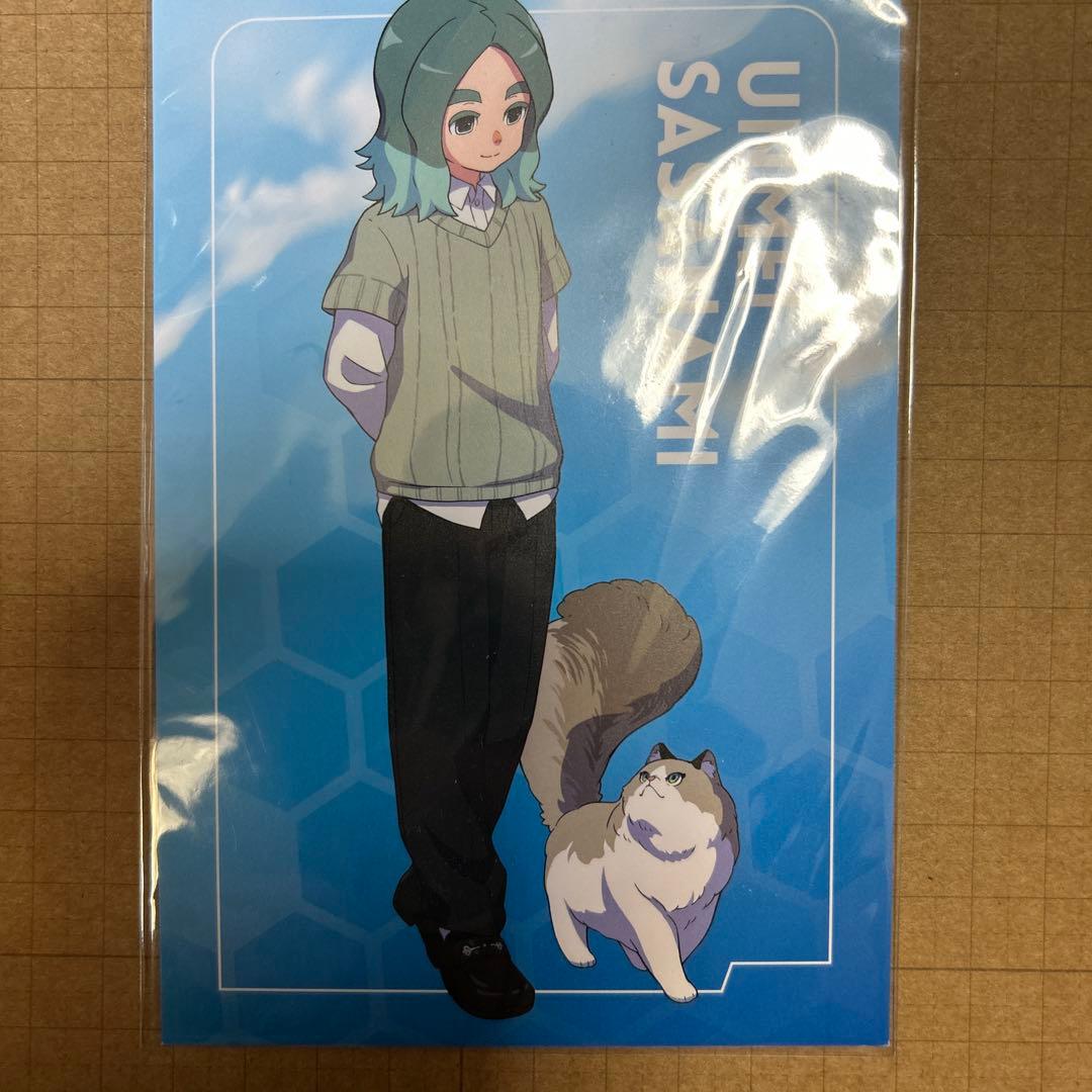 イナズマイレブン まねきねこ ポストカード 笹波雲明 - メルカリ