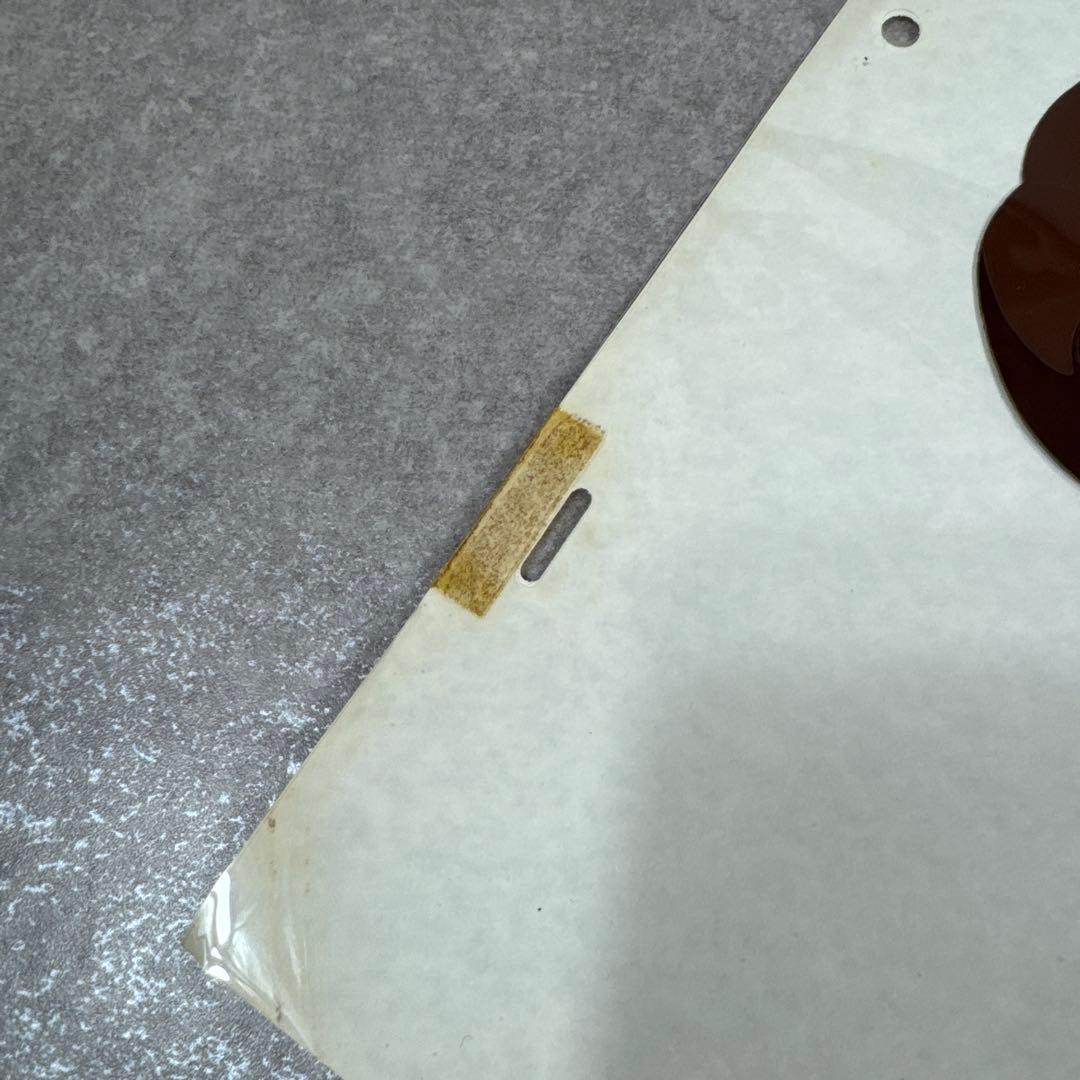 希少 おもひでぽろぽろ 岡島タエ子 セル画 A29 スタジオジブリ