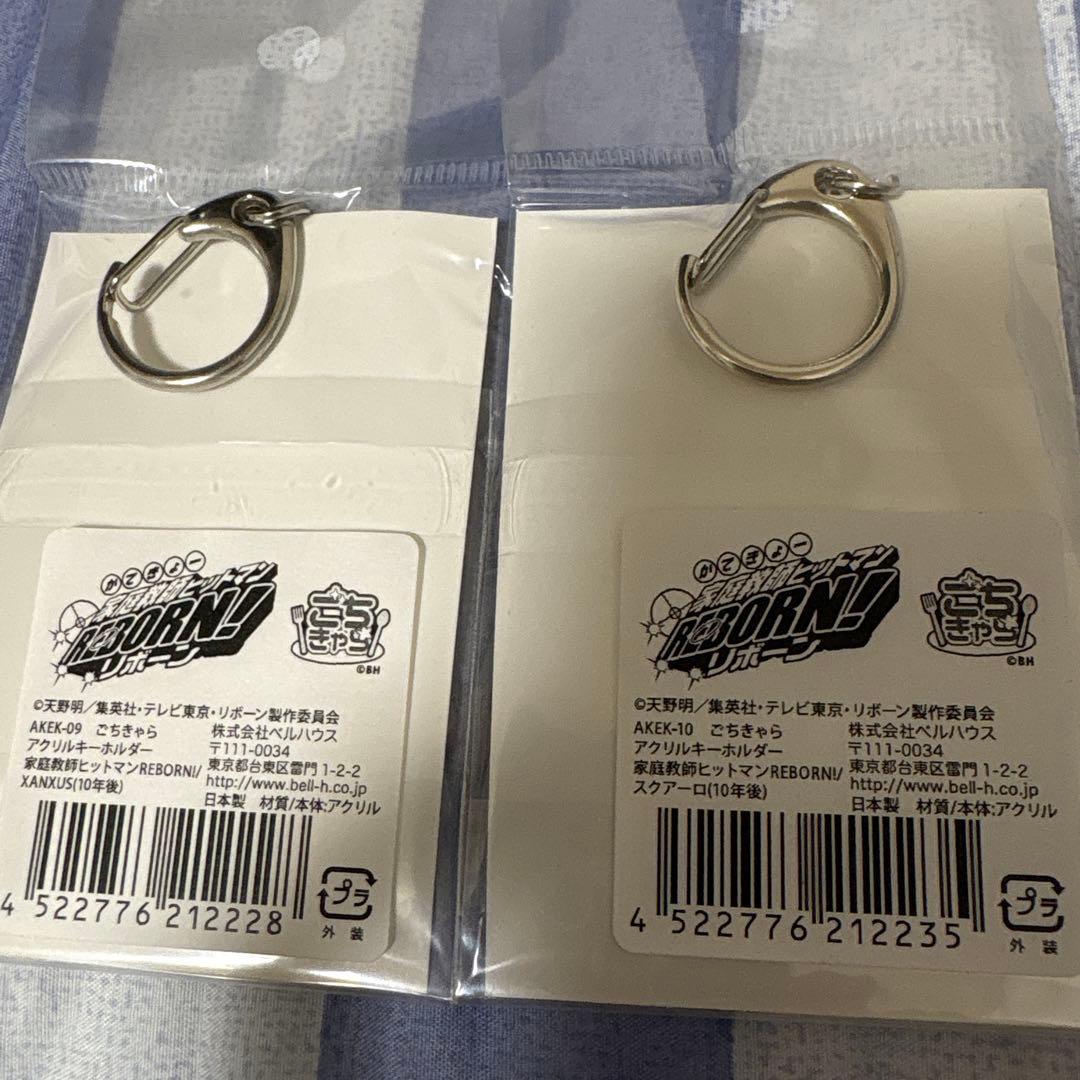 家庭教師ヒットマンREBORN アクリルキーホルダー ザンザス スクアーロ