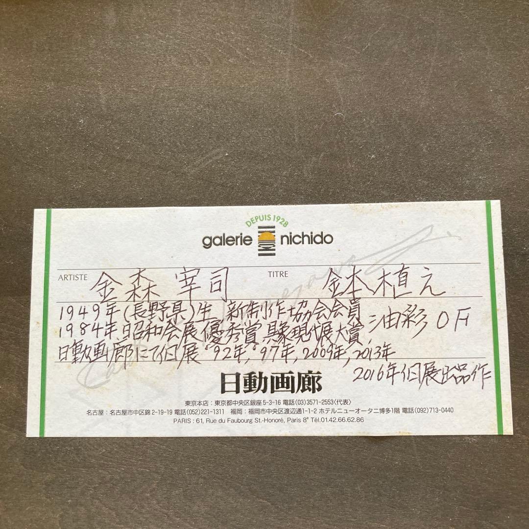 金森宰司　鉢植え