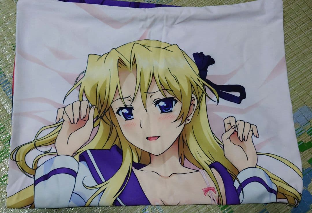 カンピオーネ エリカ・ブランデッリ ジャンボクッションカバー 抱き枕カバー