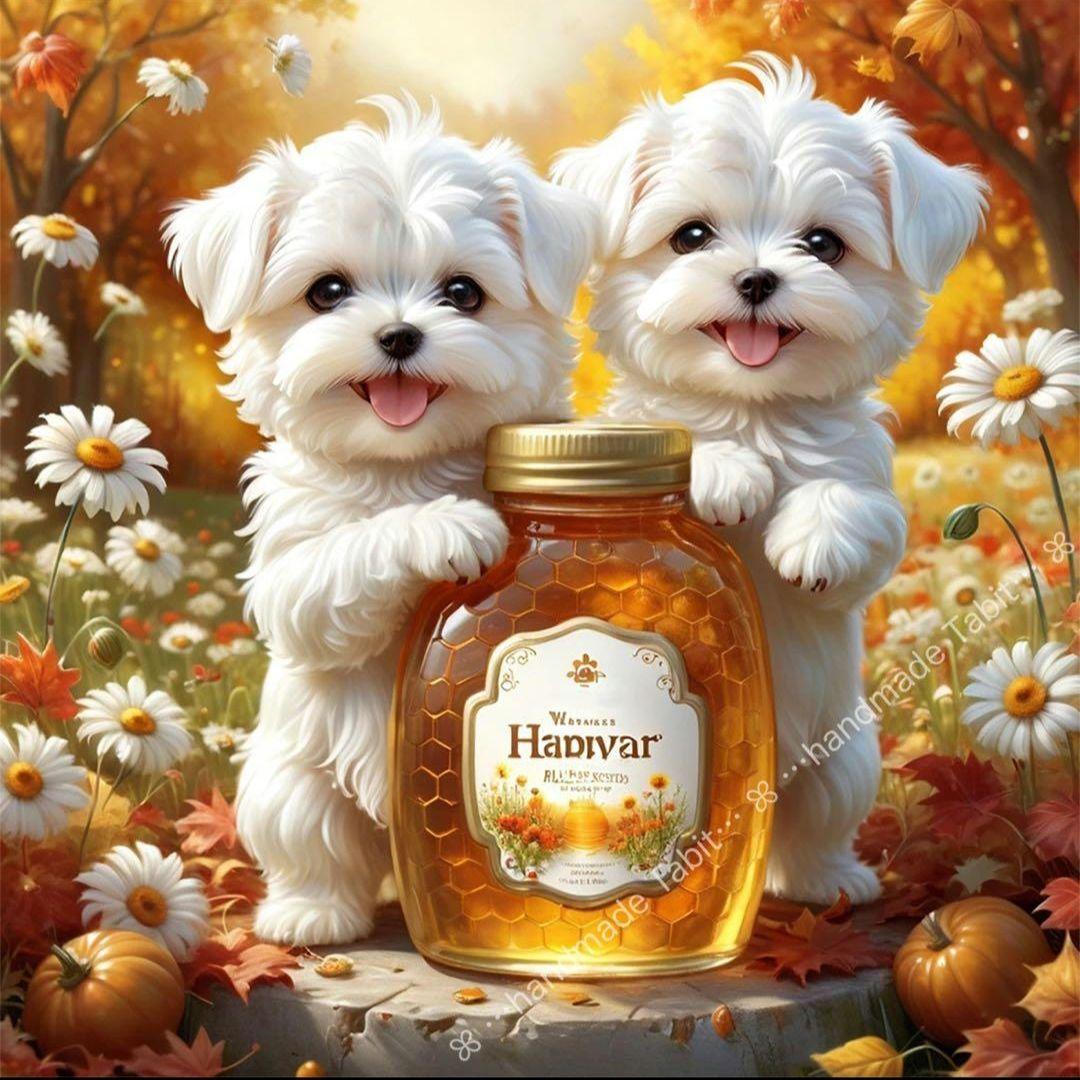 可愛いマルチーズパネル生地　ハンドメイド