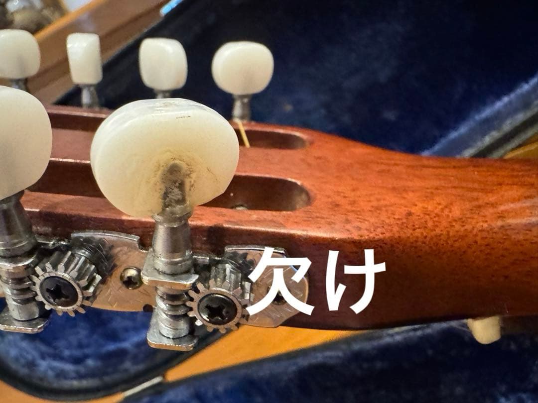 激レア Morris special スロテッドヘッド 12弦 - メルカリ