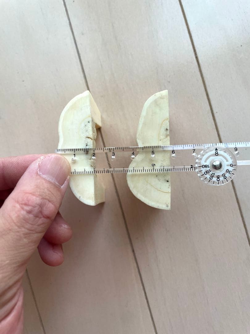 セイウチ牙　カット　抹香　マッコウ　イッカク　　　鯨歯　根付け　131.04g