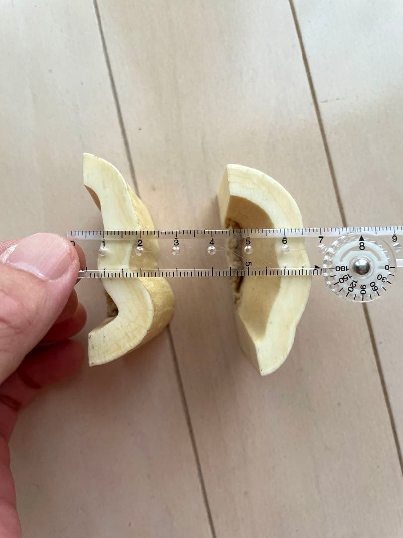 セイウチ牙　カット　抹香　マッコウ　イッカク　　　鯨歯　根付け　131.04g