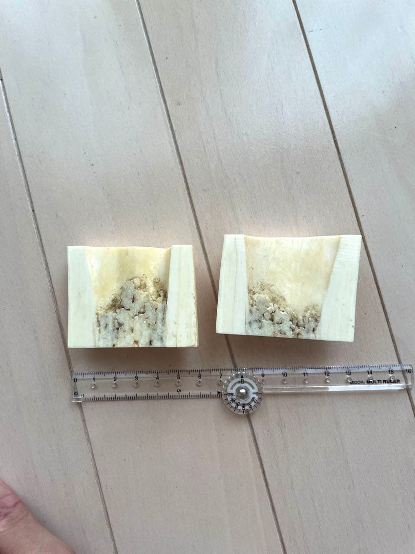 セイウチ牙　カット　抹香　マッコウ　イッカク　　　鯨歯　根付け　131.04g