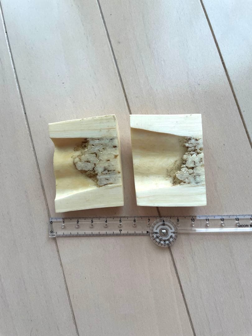 セイウチ牙　カット　抹香　マッコウ　イッカク　　　鯨歯　根付け　131.04g