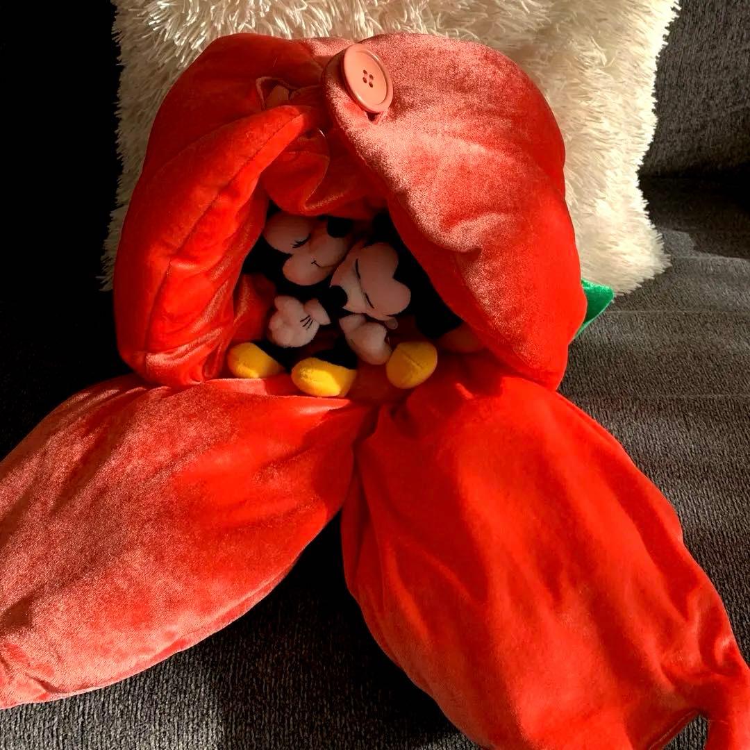 レア ミッキー ミニー ぬいぐるみ 蕾 桃 ディズニーランド 当時物