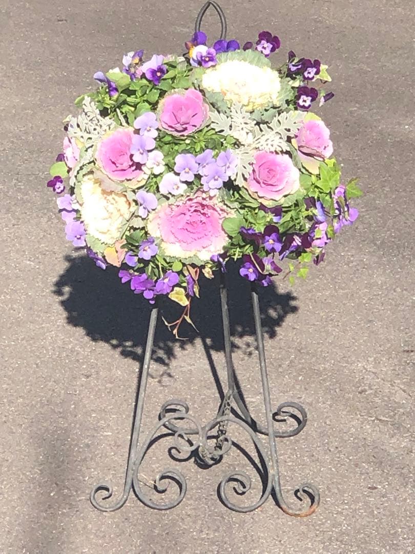 葉牡丹の寄せ植え ハンギングバスケット - メルカリ