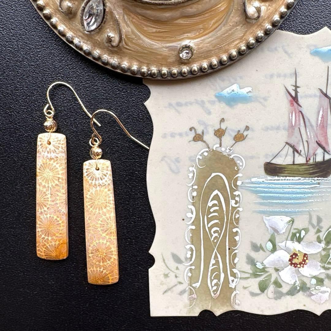 《のほほん様》フォッシルコーラルレクタングル&アイアゲート＊ピアスorイヤリング