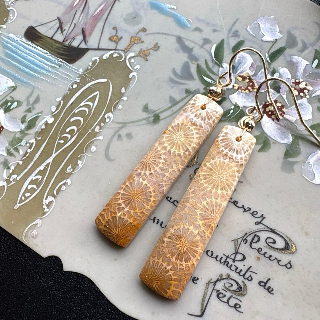 《のほほん様》フォッシルコーラルレクタングル&アイアゲート＊ピアスorイヤリング
