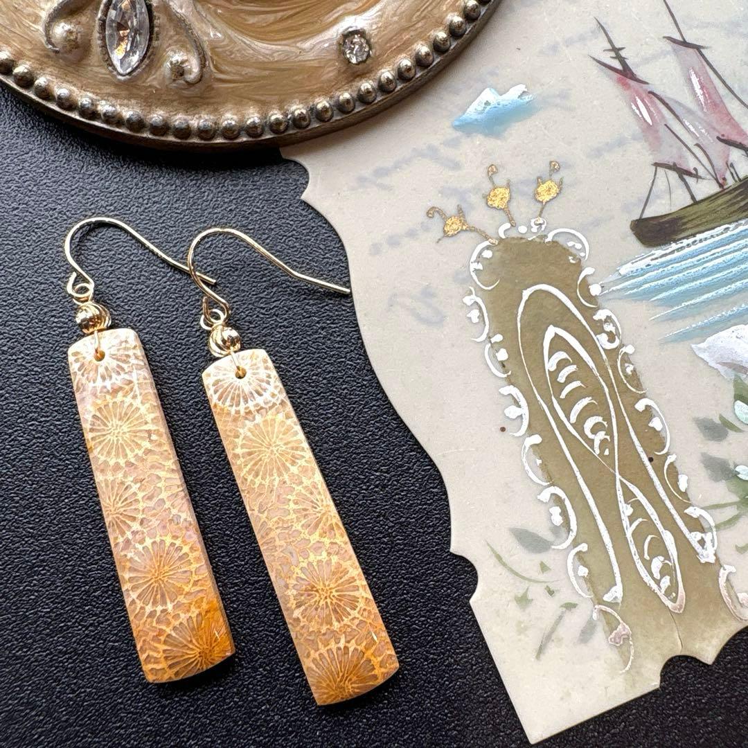 《のほほん様》フォッシルコーラルレクタングル&アイアゲート＊ピアスorイヤリング