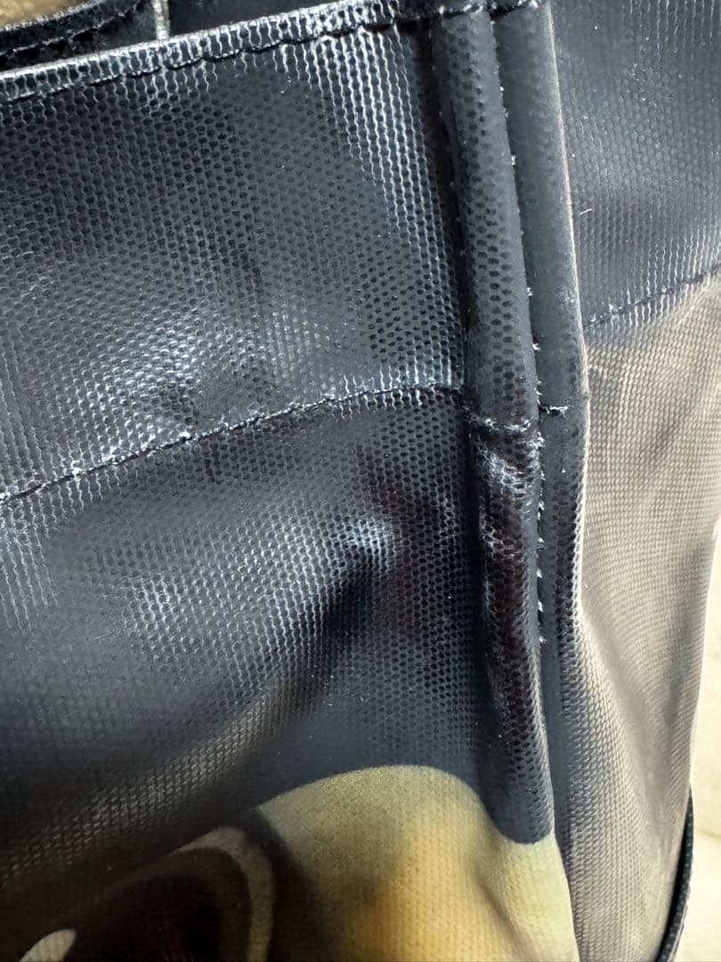 【新品未使用】東京ディズニーリゾート 実写　トートバッグ L