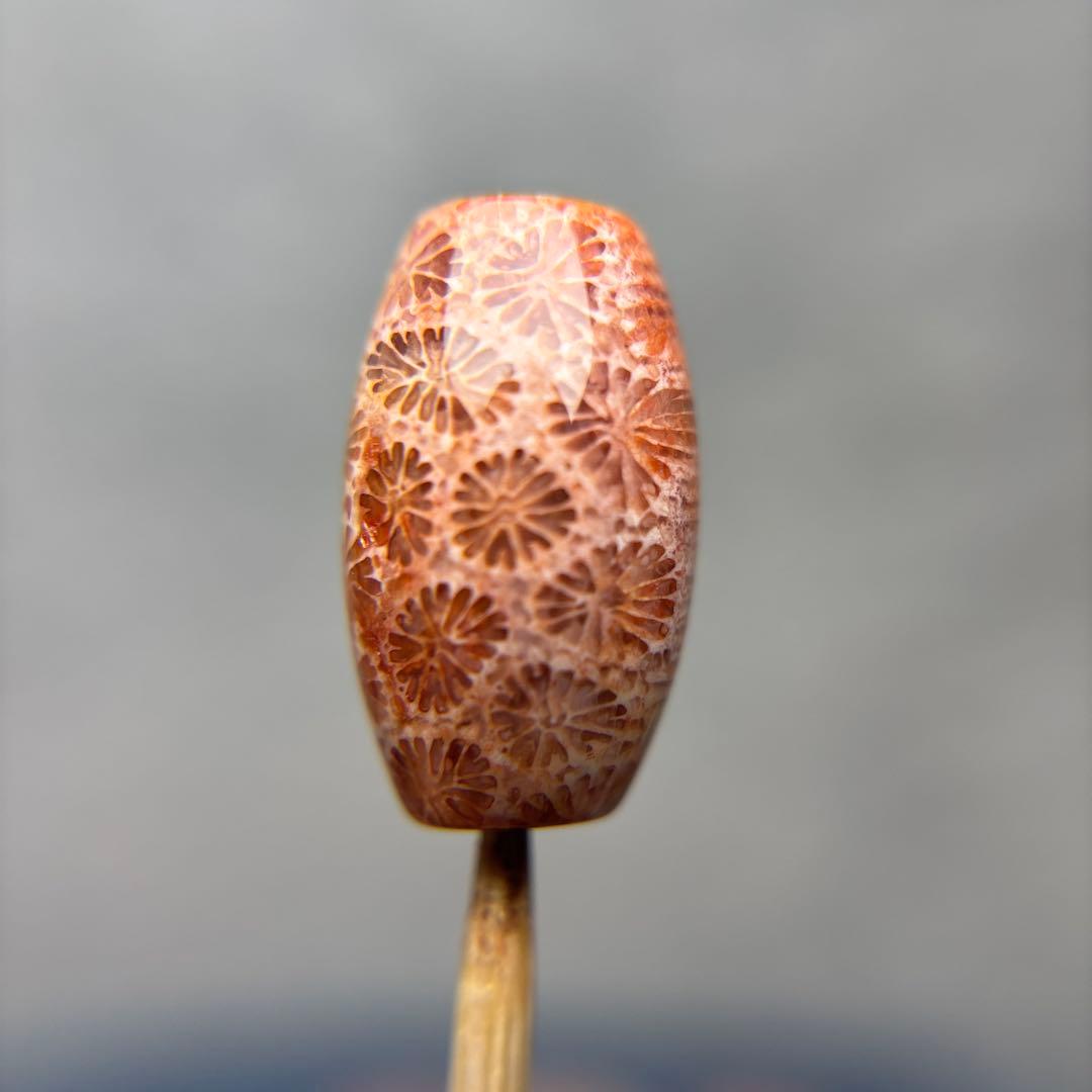 ユッキーフォッシルコーラル　天珠　1-305