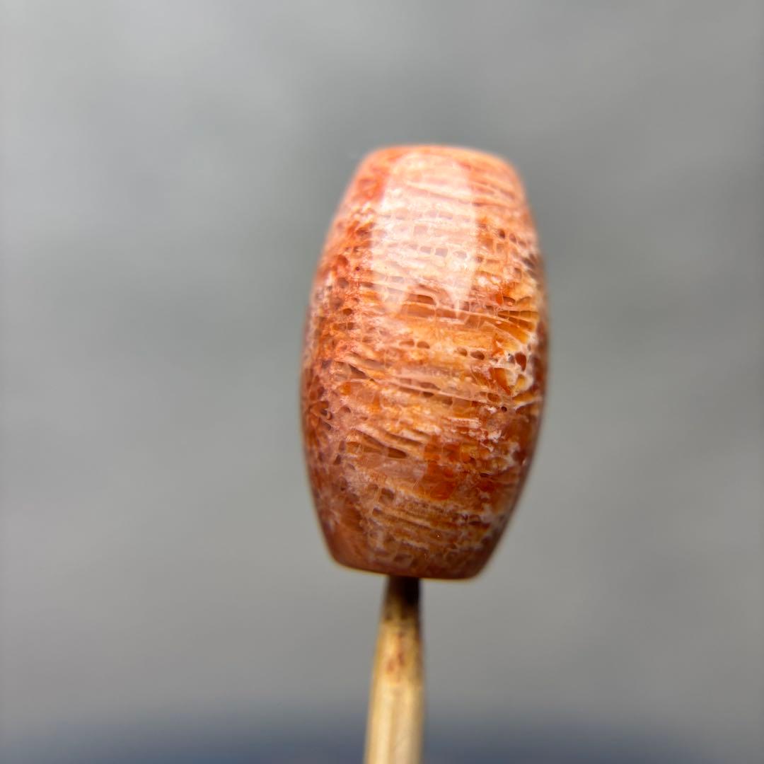 ユッキーフォッシルコーラル　天珠　1-305