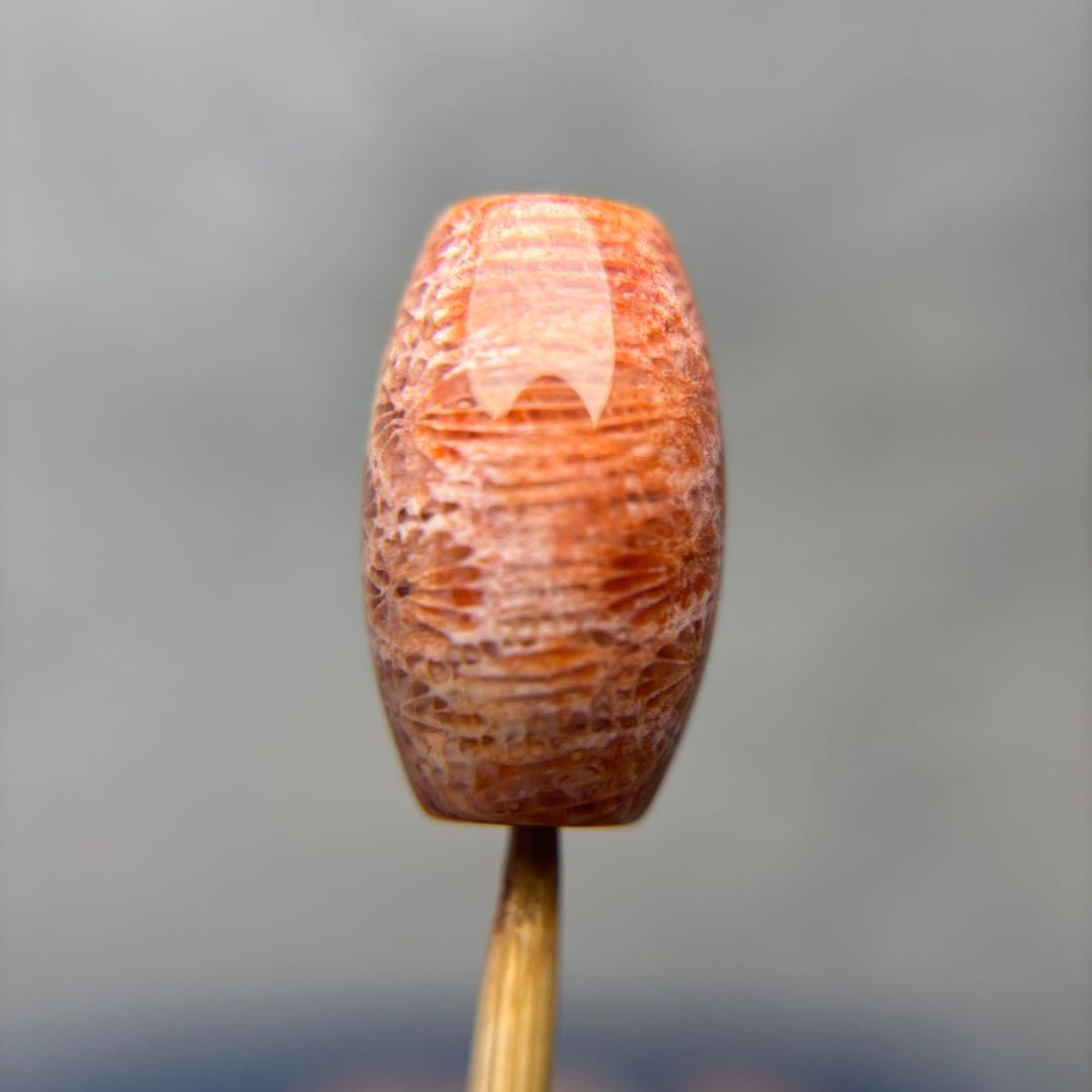 ユッキーフォッシルコーラル　天珠　1-305