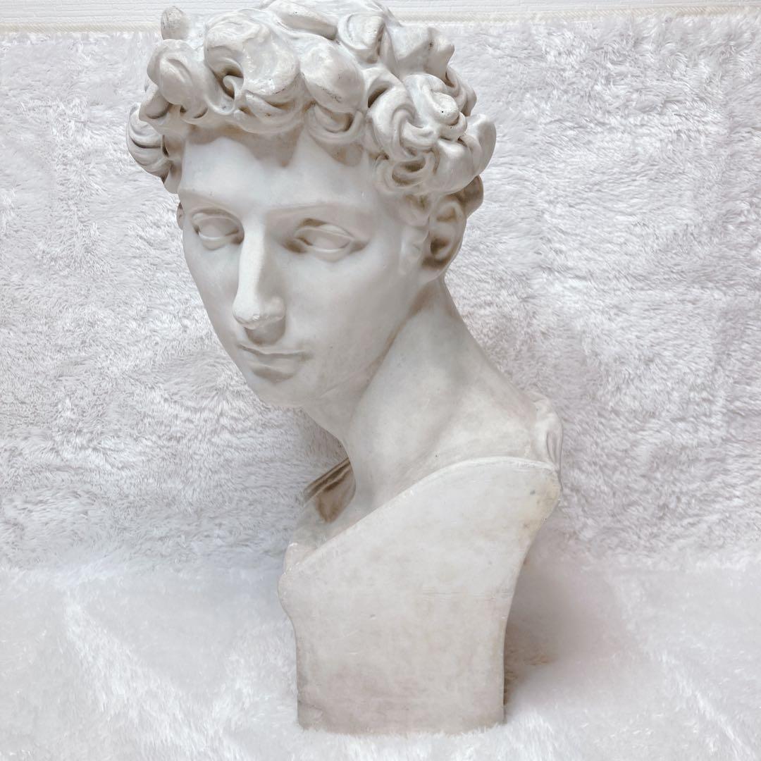 石膏像 メディチ像 胸像 デッサン 美術 彫刻 オブジェ