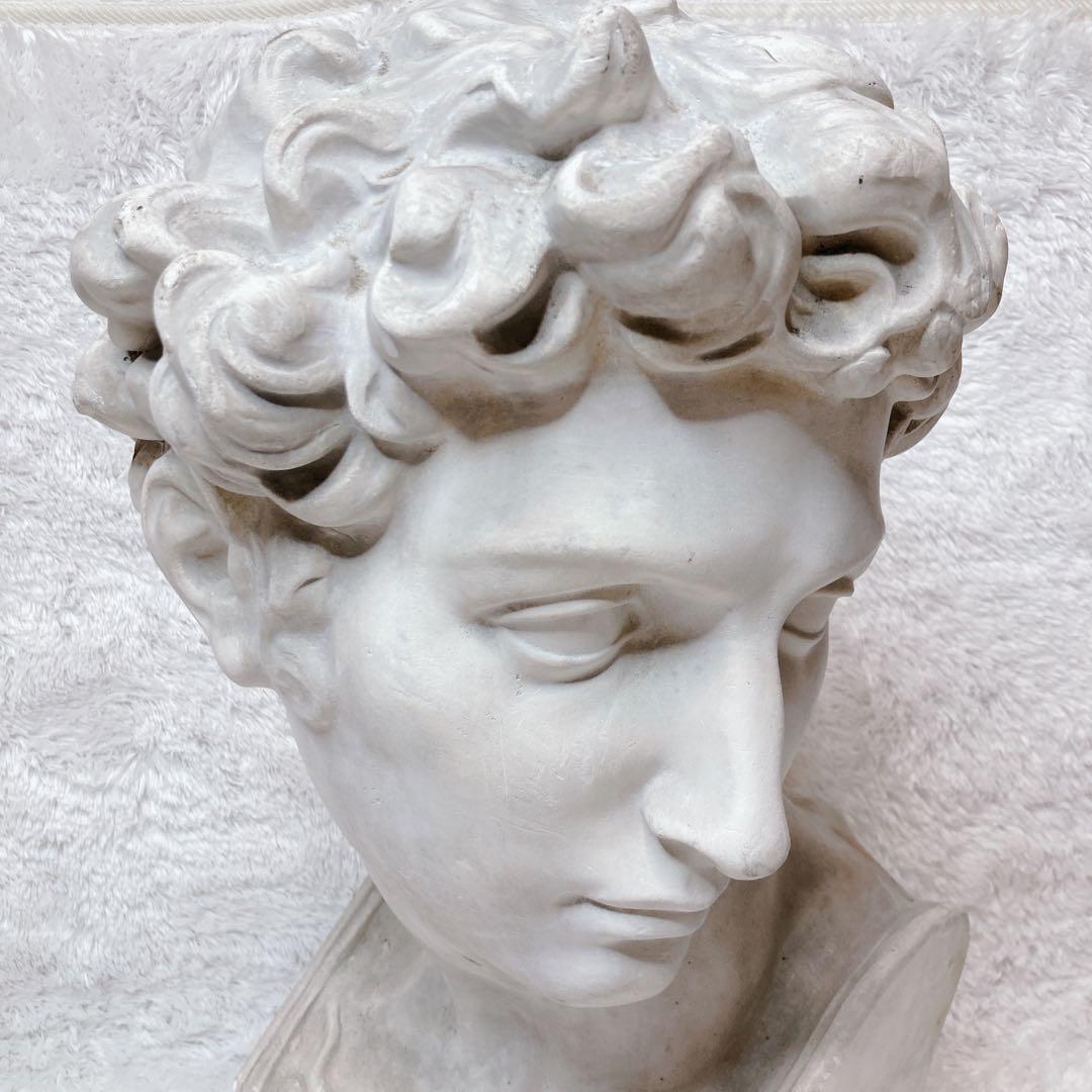 石膏像 メディチ像 胸像 デッサン 美術 彫刻 オブジェ