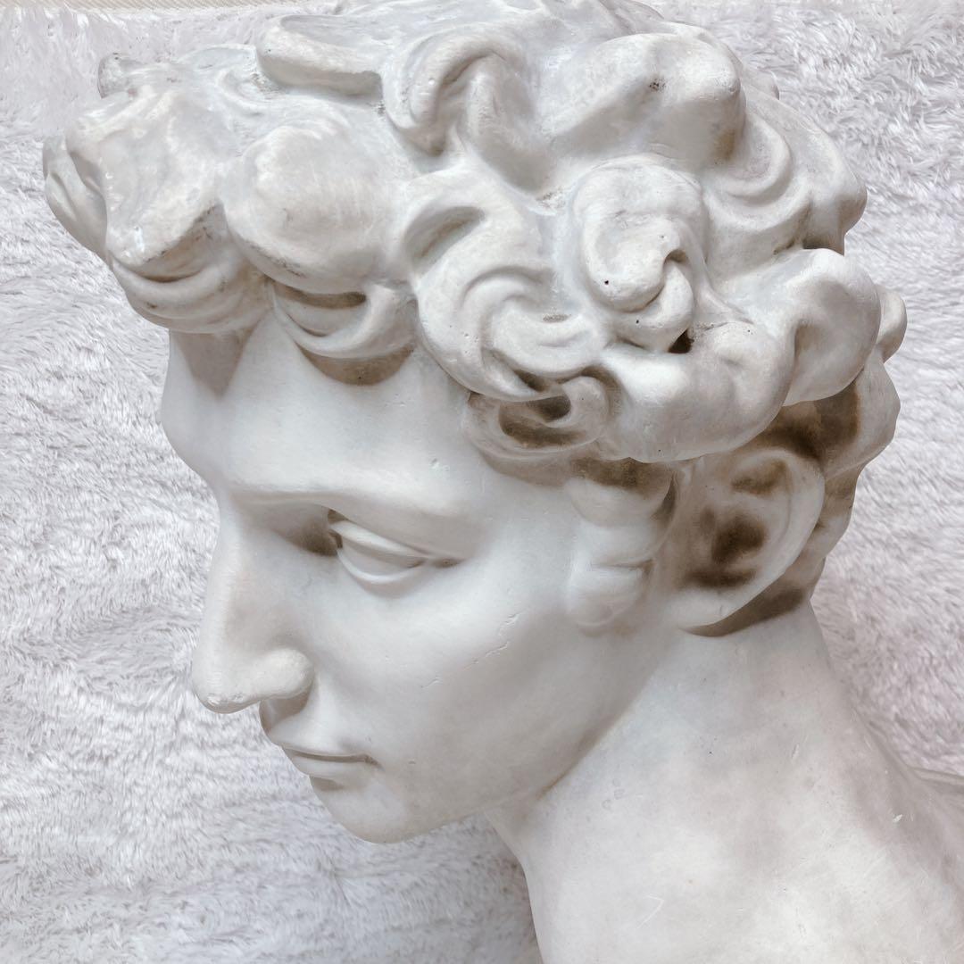 石膏像 メディチ像 胸像 デッサン 美術 彫刻 オブジェ